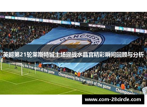 英超第21轮莱斯特城主场迎战水晶宫精彩瞬间回顾与分析 英超第21轮莱斯特城主场迎战水晶宫精彩瞬间回顾与分析