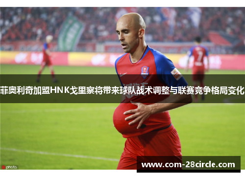 菲奥利奇加盟HNK戈里察将带来球队战术调整与联赛竞争格局变化