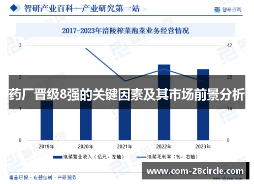 药厂晋级8强的关键因素及其市场前景分析