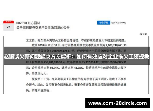 赵鹏谈欠薪问题解决方案解析：如何有效应对企业拖欠工资现象